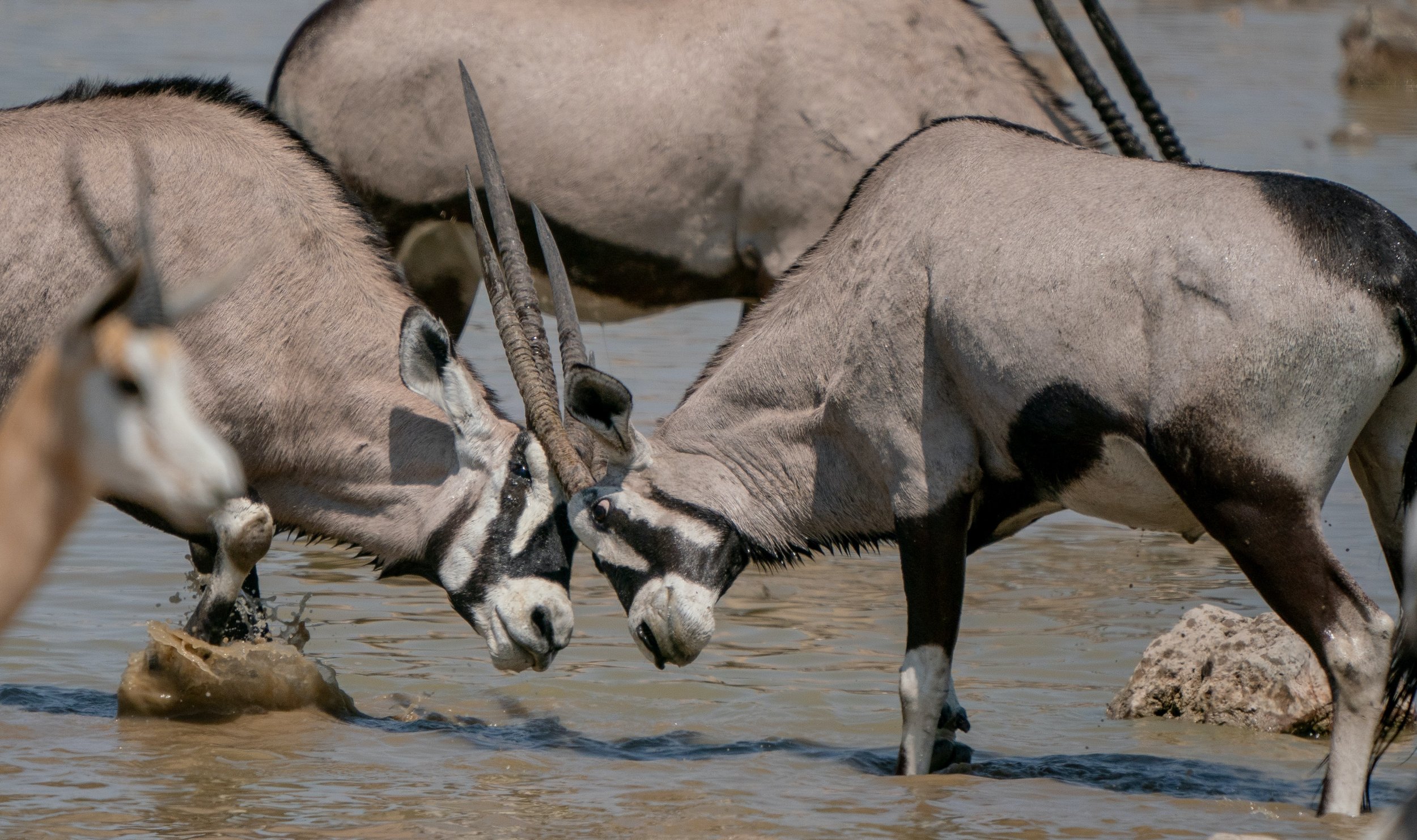 bob-brewer-0QcJStKhmbo-unsplash